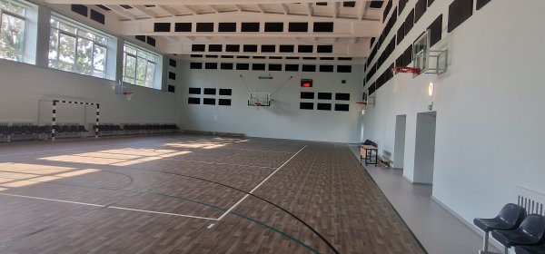 Sporto salė, Vytauto Didžiojo universiteto „Atžalyno“ progimnazija